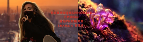 герыч Арсеньев